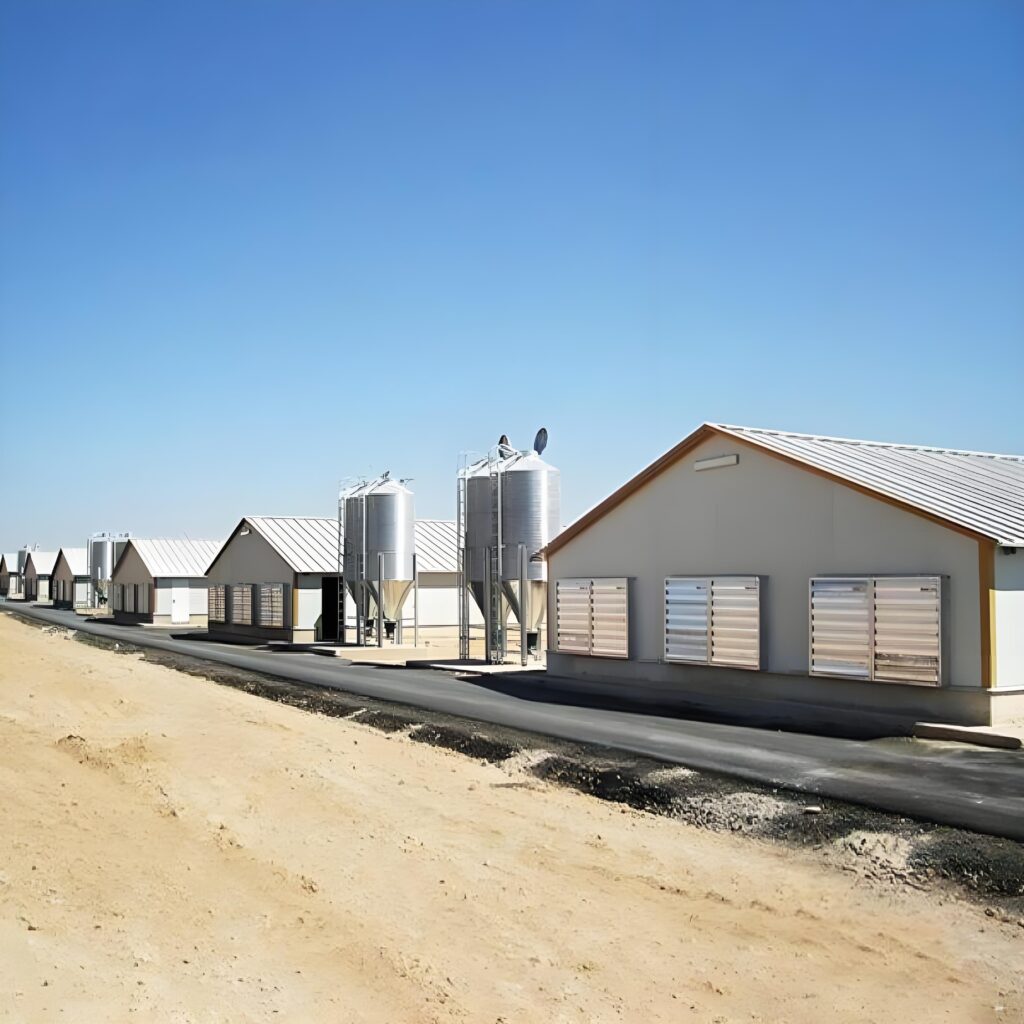 Prefabricated Galvanized Steel Structure Poultry Chicken House ...
